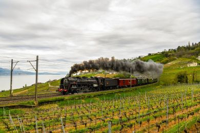 Train à vapeur au 